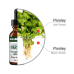 Nutramedix Parsley