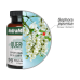 Nutramedix Quercetin