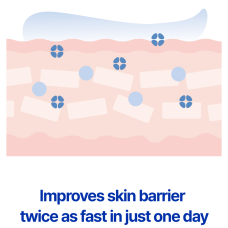 Real Barrier Extreme Cream 50ml