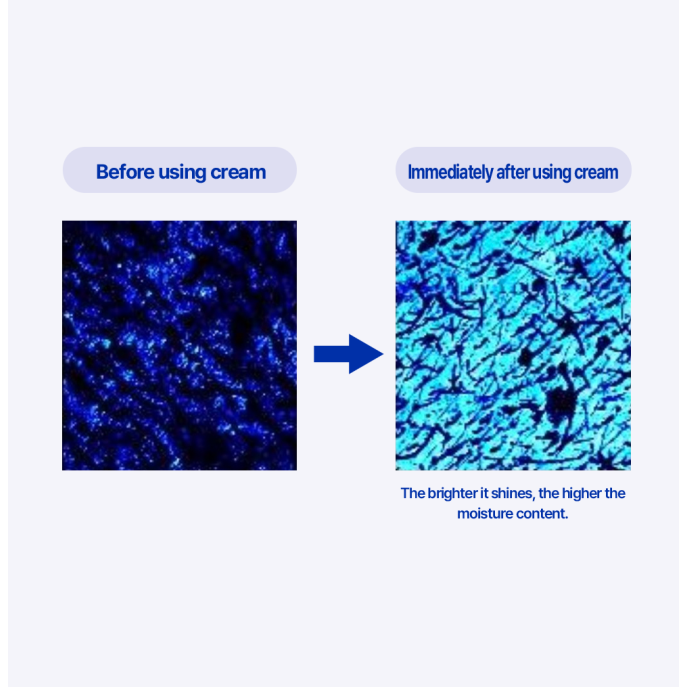 Real Barrier Extreme Cream Light 50ml