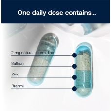 spermidineLIFE Memory+