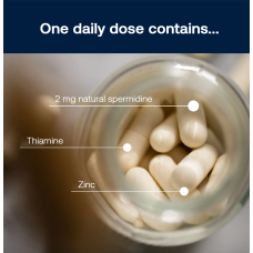 spermidineLIFE Original 365+